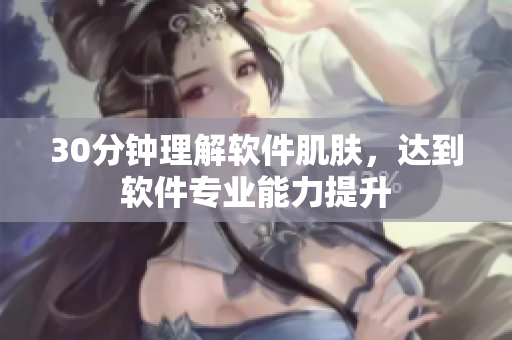 30分钟理解软件肌肤，达到软件专业能力提升