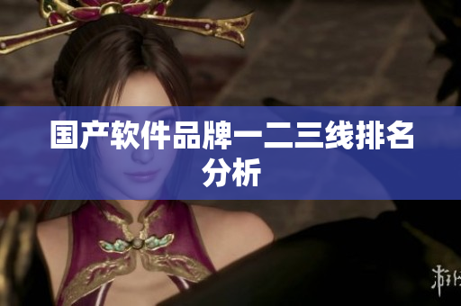 国产软件品牌一二三线排名分析