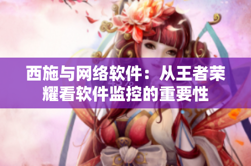 西施与网络软件：从王者荣耀看软件监控的重要性