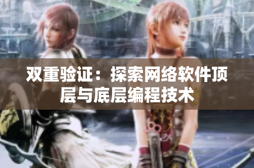 双重验证：探索网络软件顶层与底层编程技术