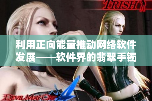 利用正向能量推动网络软件发展——软件界的翡翠手镯