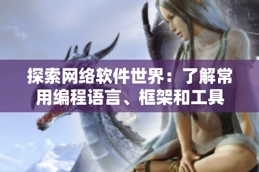 探索网络软件世界：了解常用编程语言、框架和工具