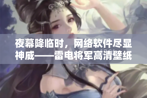 夜幕降临时，网络软件尽显神威——雷电将军高清壁纸。