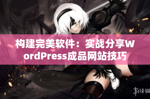 构建完美软件：实战分享WordPress成品网站技巧
