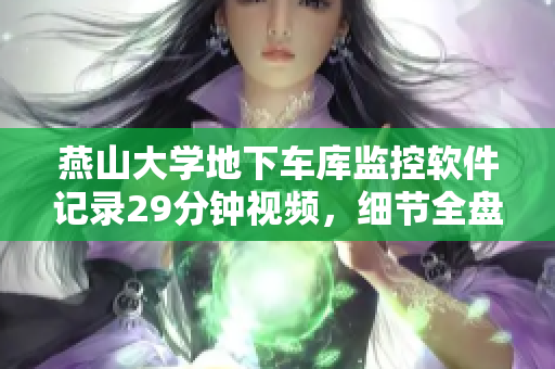 燕山大学地下车库监控软件记录29分钟视频，细节全盘解析