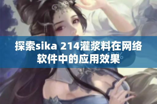 探索sika 214灌浆料在网络软件中的应用效果