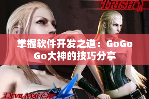 掌握软件开发之道：GoGoGo大神的技巧分享