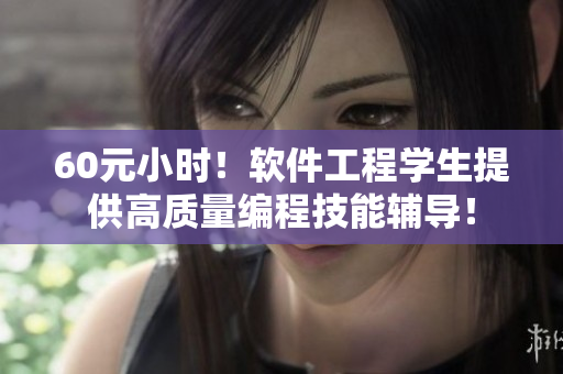60元小时！软件工程学生提供高质量编程技能辅导！