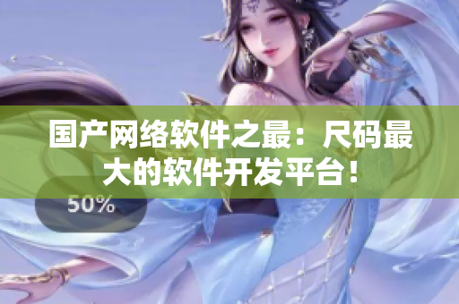 国产网络软件之最：尺码最大的软件开发平台！