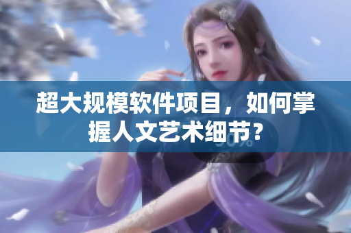 超大规模软件项目，如何掌握人文艺术细节？