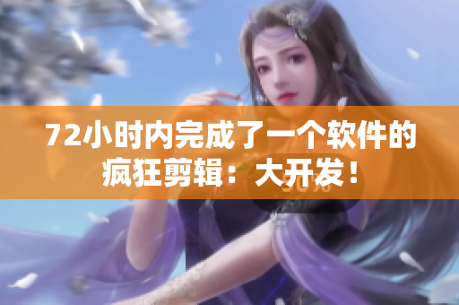 72小时内完成了一个软件的疯狂剪辑：大开发！