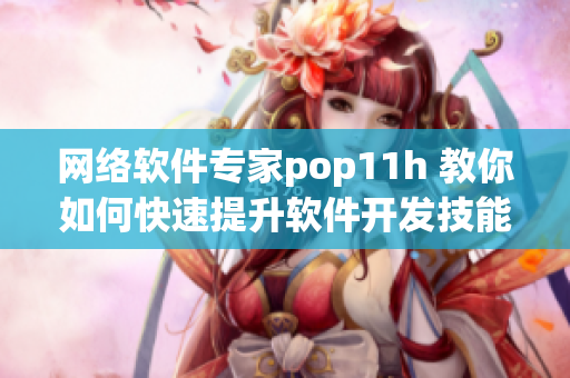 网络软件专家pop11h 教你如何快速提升软件开发技能