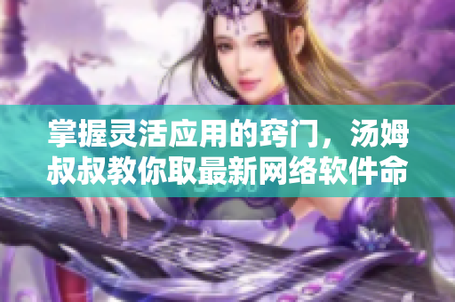 掌握灵活应用的窍门，汤姆叔叔教你取最新网络软件命名