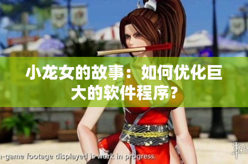小龙女的故事：如何优化巨大的软件程序？