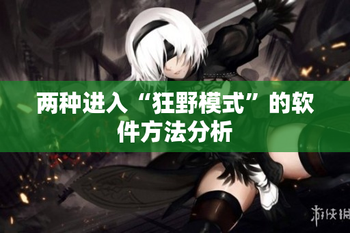 两种进入“狂野模式”的软件方法分析