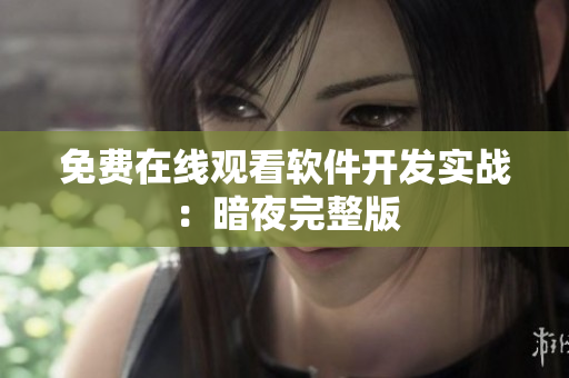 免费在线观看软件开发实战：暗夜完整版