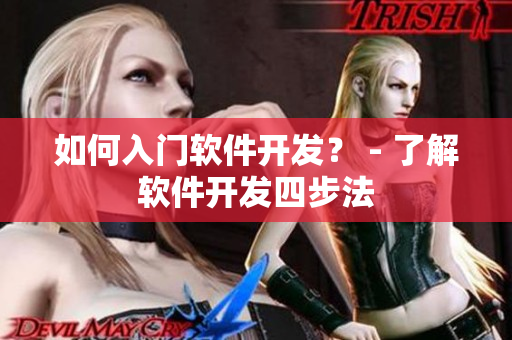 如何入门软件开发？ - 了解软件开发四步法