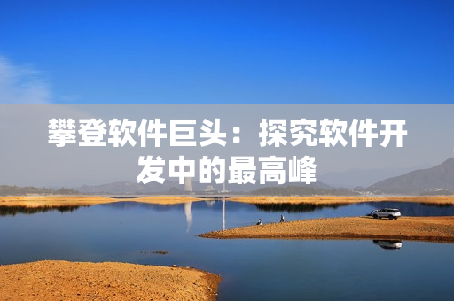 攀登软件巨头：探究软件开发中的最高峰