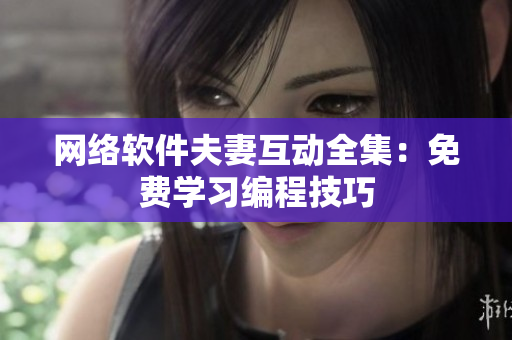 网络软件夫妻互动全集：免费学习编程技巧