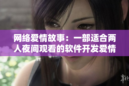 网络爱情故事：一部适合两人夜间观看的软件开发爱情电影