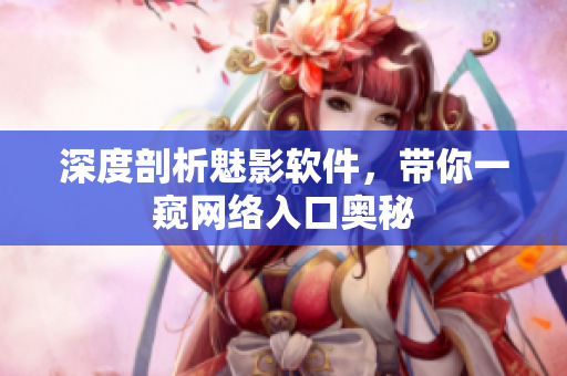 深度剖析魅影软件，带你一窥网络入口奥秘