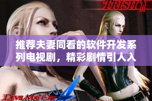 推荐夫妻同看的软件开发系列电视剧，精彩剧情引人入胜！