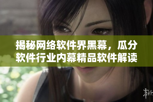揭秘网络软件界黑幕，瓜分软件行业内幕精品软件解读