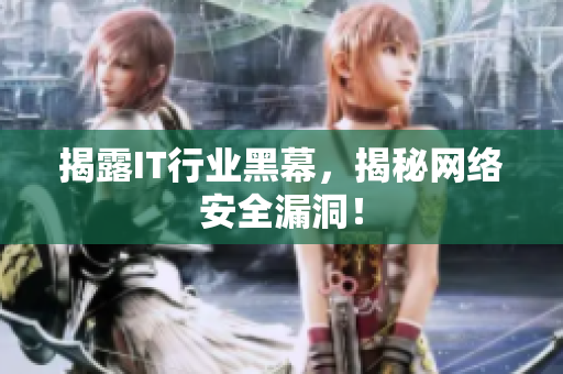 揭露IT行业黑幕，揭秘网络安全漏洞！
