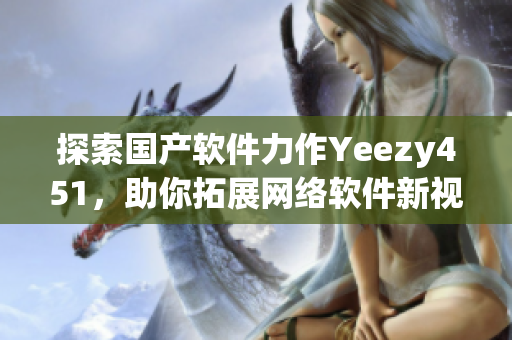 探索国产软件力作Yeezy451，助你拓展网络软件新视野