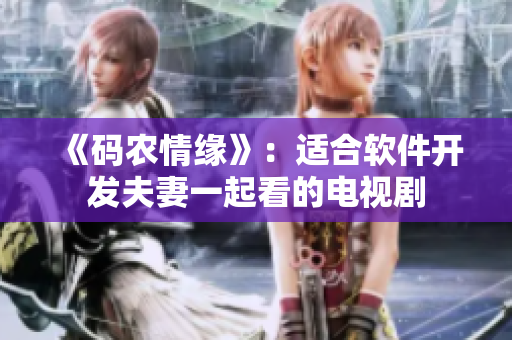 《码农情缘》：适合软件开发夫妻一起看的电视剧