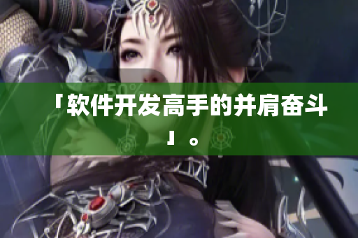 「软件开发高手的并肩奋斗」。