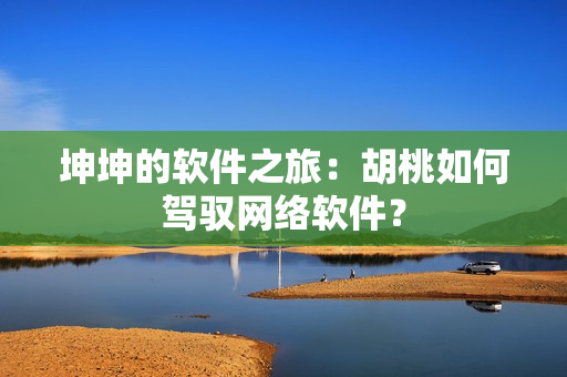 坤坤的软件之旅：胡桃如何驾驭网络软件？