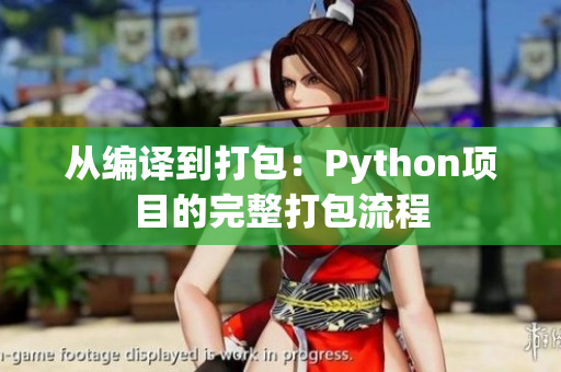 从编译到打包：Python项目的完整打包流程