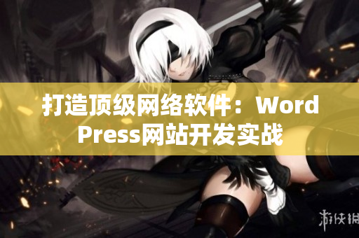 打造顶级网络软件：WordPress网站开发实战
