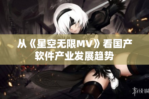 从《星空无限MV》看国产软件产业发展趋势