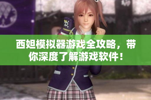西妲模拟器游戏全攻略，带你深度了解游戏软件！