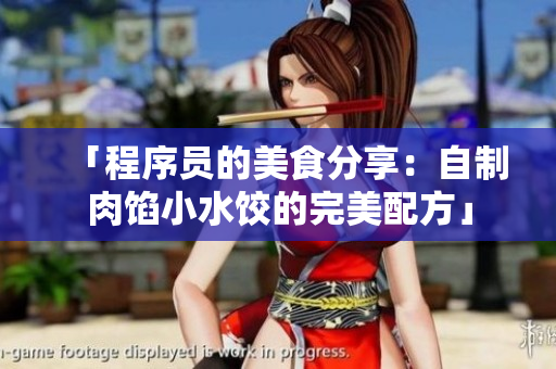 「程序员的美食分享：自制肉馅小水饺的完美配方」