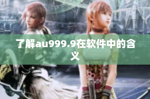 了解au999.9在软件中的含义