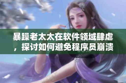 暴躁老太太在软件领域肆虐，探讨如何避免程序员崩溃