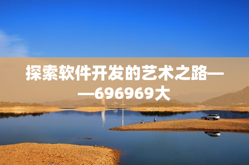 探索软件开发的艺术之路——696969大