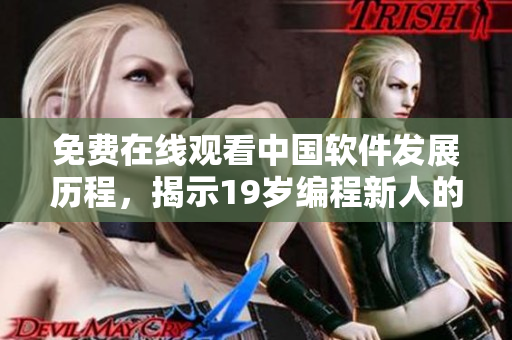 免费在线观看中国软件发展历程，揭示19岁编程新人的成功之路