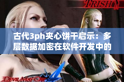 古代3ph夹心饼干启示：多层数据加密在软件开发中的应用