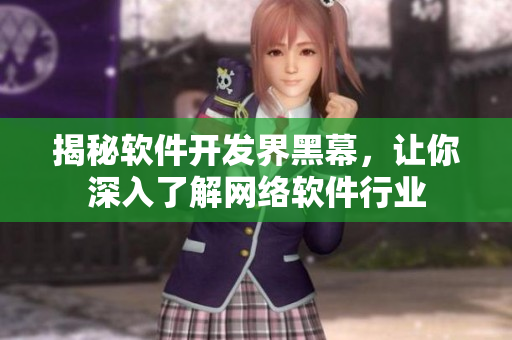 揭秘软件开发界黑幕，让你深入了解网络软件行业