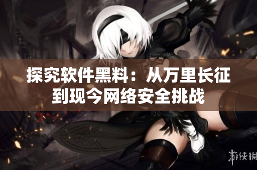 探究软件黑料：从万里长征到现今网络安全挑战