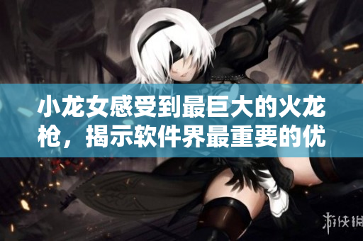 小龙女感受到最巨大的火龙枪，揭示软件界最重要的优化技巧