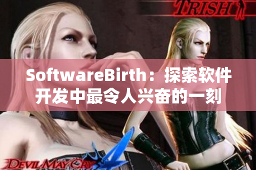 SoftwareBirth：探索软件开发中最令人兴奋的一刻