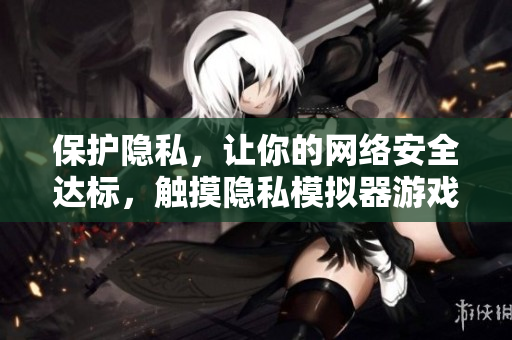 保护隐私，让你的网络安全达标，触摸隐私模拟器游戏安装指南