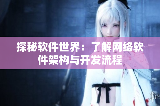 探秘软件世界：了解网络软件架构与开发流程