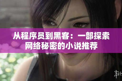 从程序员到黑客：一部探索网络秘密的小说推荐