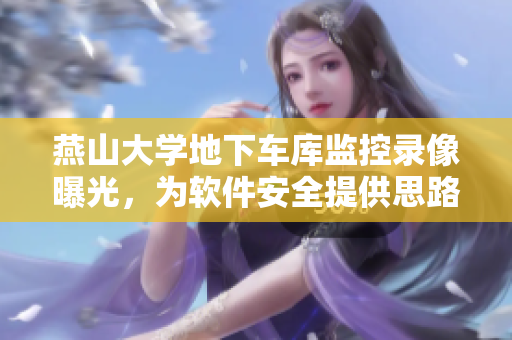 燕山大学地下车库监控录像曝光，为软件安全提供思路